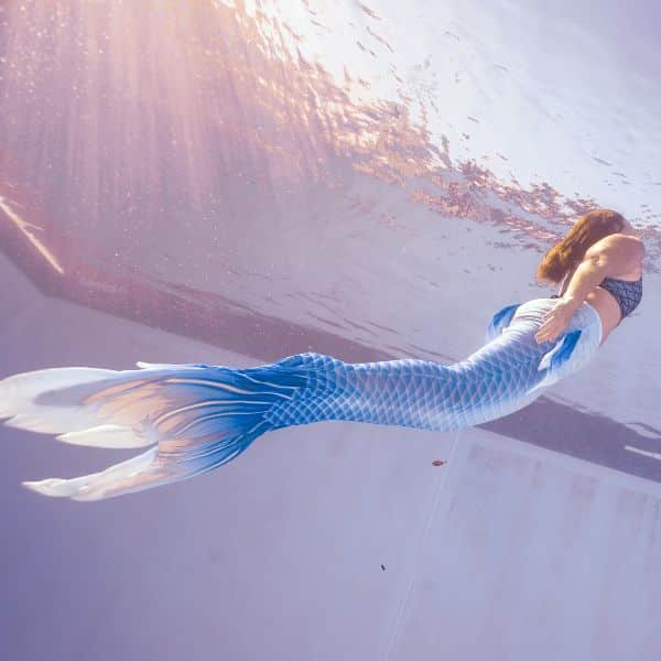  PADI  Mermaid Dive